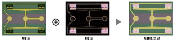 奧林巴斯明暗場.jpg