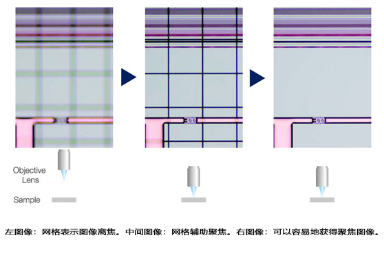 奧林巴斯輔助聚集.jpg