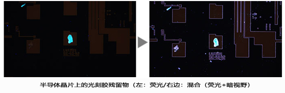 效果圖4.jpg