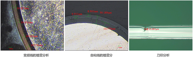 重慶金相顯微鏡檢測效果圖