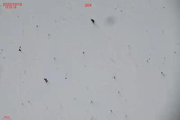 湖北金相顯微鏡在金屬材料晶粒度檢測中的應(yīng)用