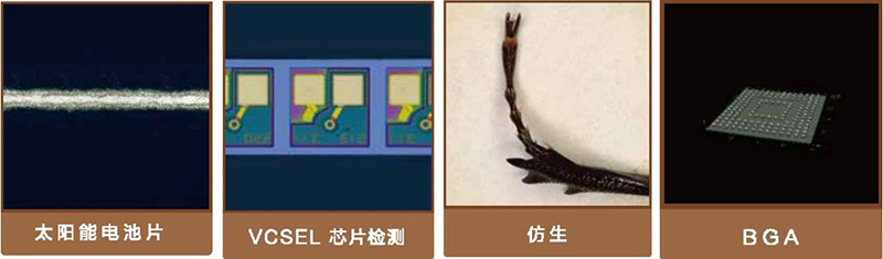 QQ截圖20221201105305.jpg